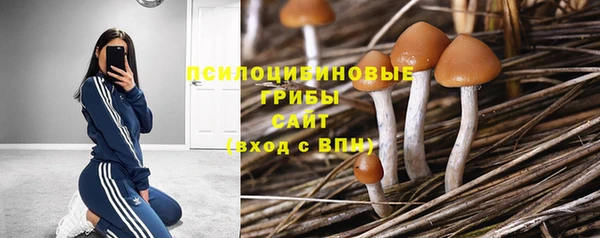 mdpv Балабаново